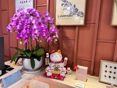 -LANN I 蘭·泰式古法按摩(高岛屋百货店)