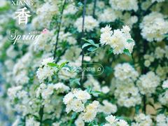 -颐和路民国时期公馆-风貌区