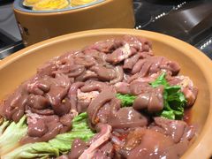 -龍歌自助小火锅(崂山丽达店)