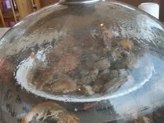 -港畔赶海蒸汽海鲜烧烤自助(仙螺岛店)