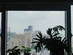 -华东师范大学心理咨询工作室