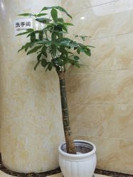 -重庆军美医疗美容医院