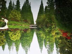-东平国家森林公园