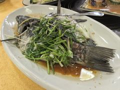 -龙回山庄