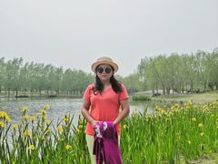 -东郊湿地公园