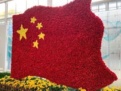 -上海鲜花港