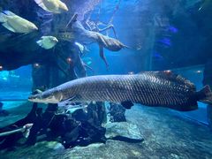 -华夏文旅海洋公园