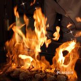 南苑年味套餐｜火上浇油的铁板烧可有新年氛围啦🔥 