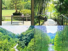 -云溪植物园