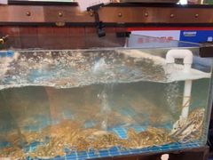 -亚马逊环球美食百汇(新城吾悦广场店)