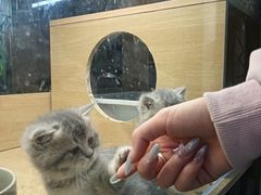 -万达广场(泰安泰山店)