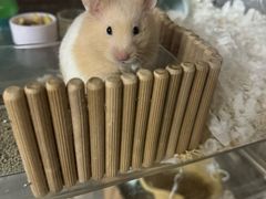 -万达广场(芜湖镜湖店)