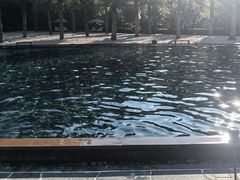 -腾冲洞山温泉村
