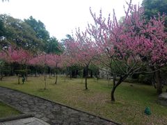 -船政文化景区-罗星塔公园