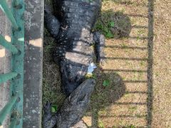 -秦皇岛野生动物园
