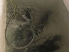 -梅记大块头爆鱼店(乍浦路店)