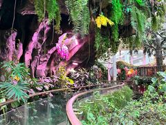 -正佳雨林生态植物园