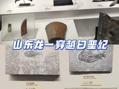 -山东博物馆