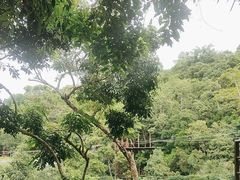 -海南槟榔谷黎苗文化旅游区
