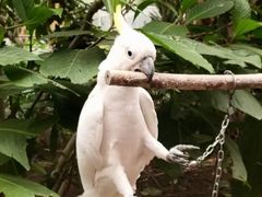 -南宫五洲植物乐园