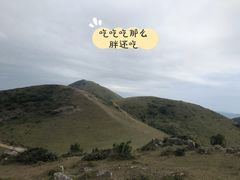 -大姆山草场