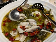 -张记旺角食街(动物园店)