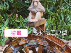 -广州长隆野生动物世界