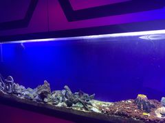 -MOJO密室逃脱(中街旗舰店)