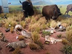 -陕西自然博物馆