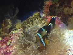 -福州罗源湾海洋世界旅游区