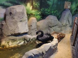 -酷嗒动物文化乐园(cutezoo西溪乐天城店)