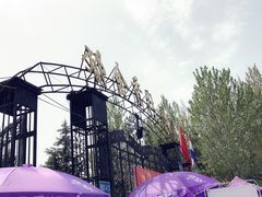 -洛阳郁金香牡丹园