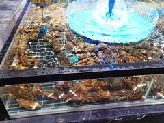 -潍坊宴·大管家(文化路店)