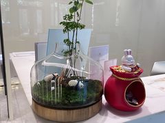 -齐玉齿科JADENTAL