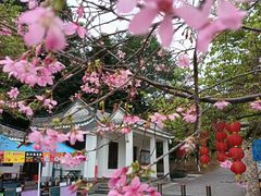 -广州市帽峰山景区