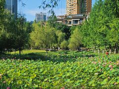 -沐仙湖湿地公园