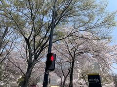 -霸道川面馆(张江店)