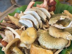 -野菌园·野生菌火锅首创第一家(关兴路总店)