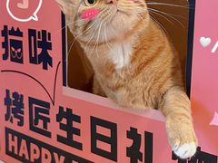 -烤匠麻辣烤鱼(观音桥大融城店)