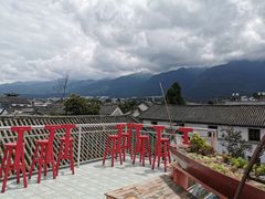 -喵屿·大理花园猫咖