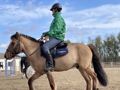 -北京群众马术培训基地
