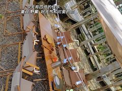 -桉树林A coffee 森林餐厅(三圣乡店)