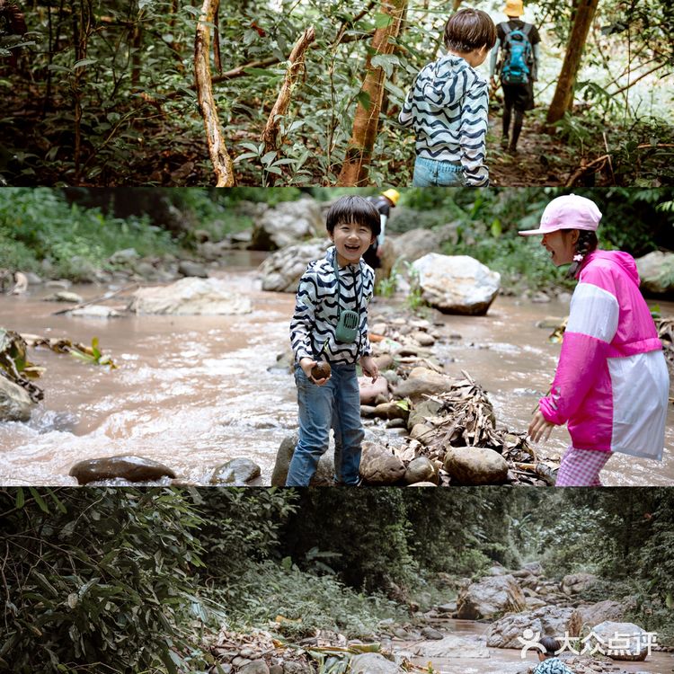 版纳亲子游Ⅰ热带雨林原来可以这么好玩！！