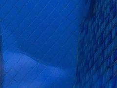 -东方雅典水疗美食汇(金海岸大厦店)