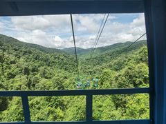 -野象谷景区