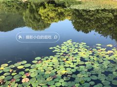 -国家植物园