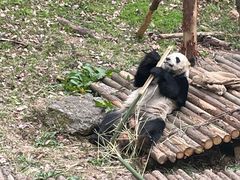 -黔灵山公园