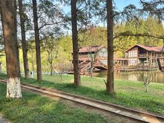 -黄海国家森林公园