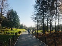 -贵阳市花溪国家城市湿地公园