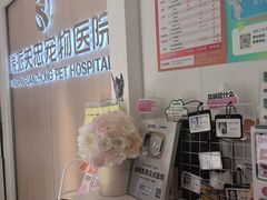 -瑞派·关忠动物医院·猫专科·犬专科(三环新城店)